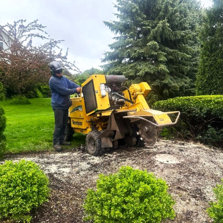 stump grinding service in Spring grove, professional stump grinding service in Spring Grove, Spring Grove stump grinding service
