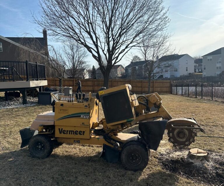 stump grinding service in Spring Grove, professional stump grinding service in Spring Grove, stump grinding in Spring Grove
