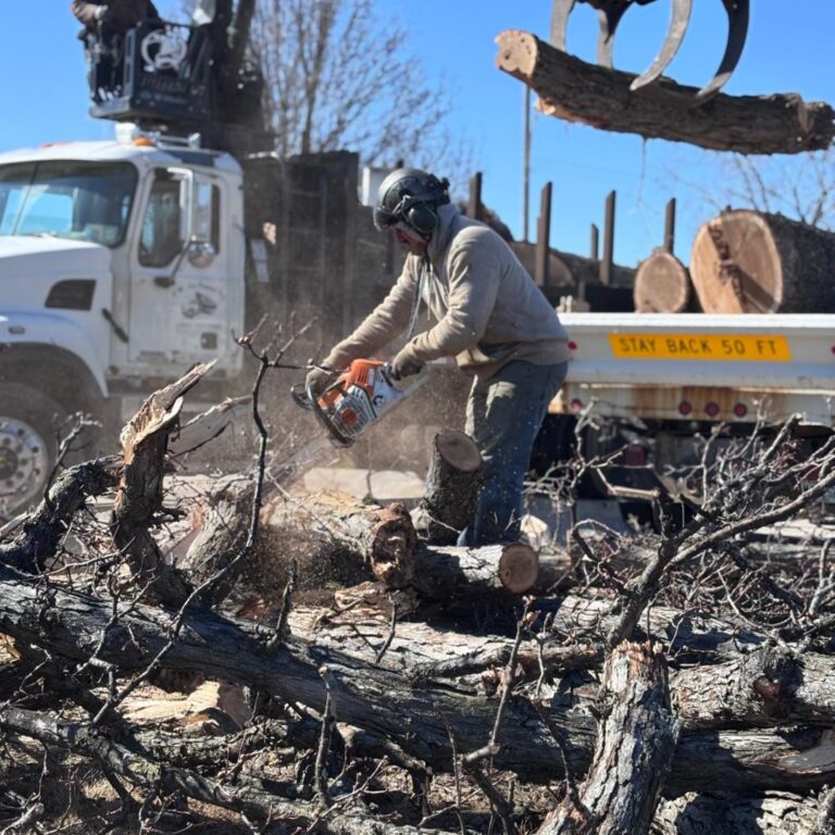 lot clearing in Spring Grove lot clearing in Spring Grove, Spring Grove land clearing service, Spring Grove brush removal