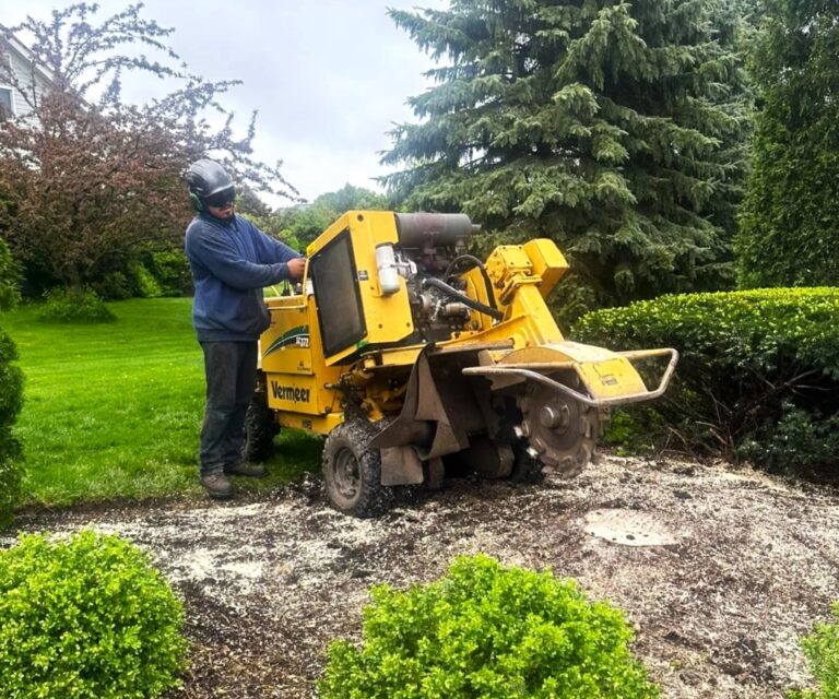 lot clearning in Spring Grove IL lot clearing in Spring Grove, Spring Grove land clearing service, Spring Grove brush removal
