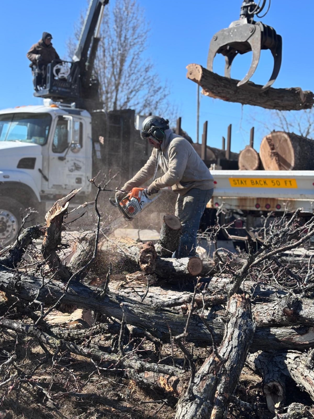 tree cutting service in Spring Grove tree cutting service in Spring Grove, professional tree cutting Spring Grove, affordable tree service Spring Grove