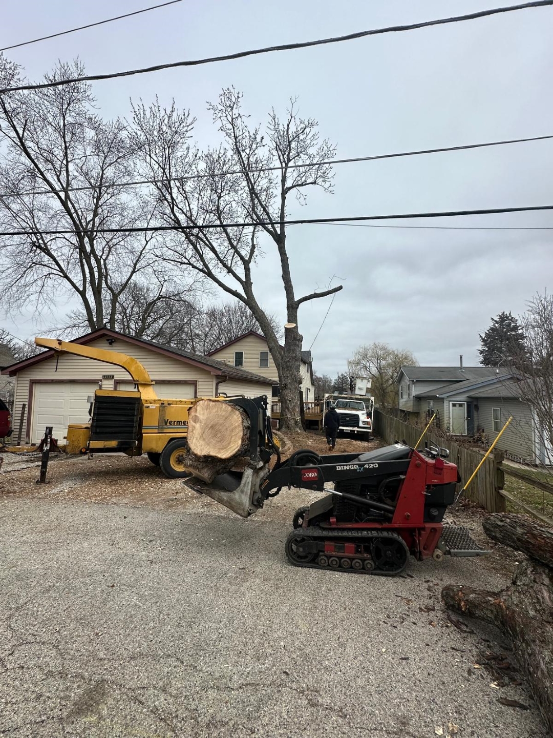 Tree Removal Company in McHenry, Tree removal service in Illinois, professional tree removal company in McHenry