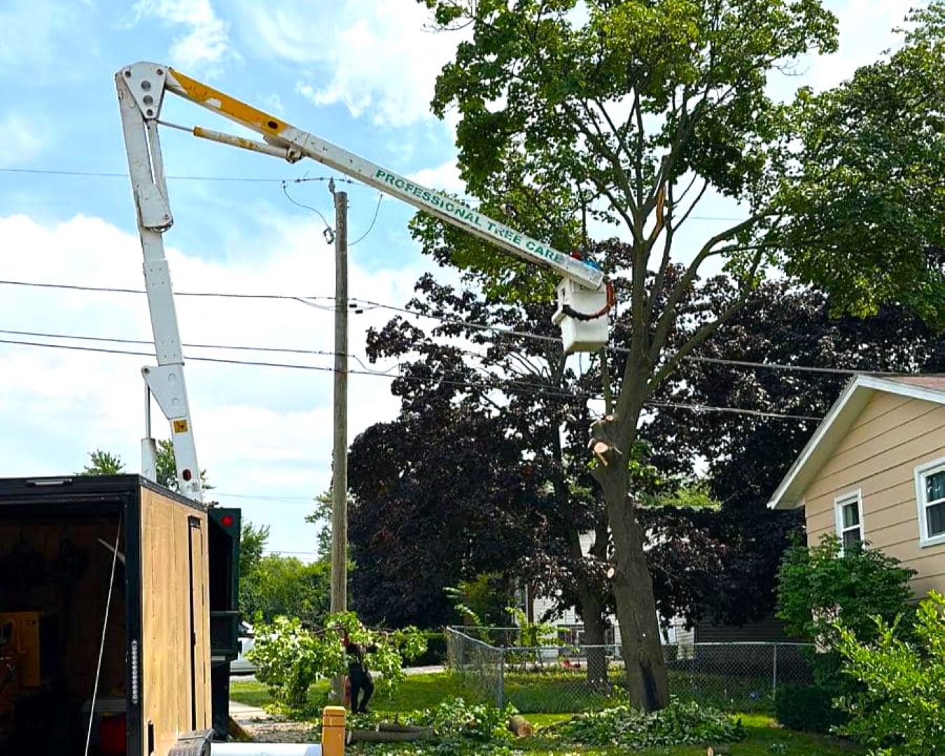 Tree Removal Company in McHenry, Tree removal service in Illinois, professional tree removal company in McHenry