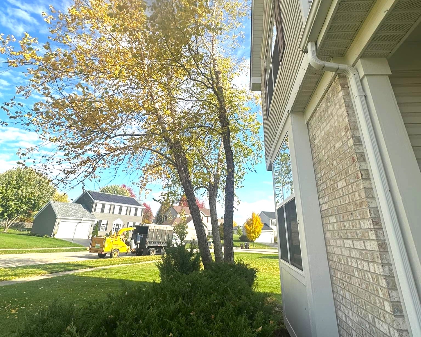 Tree Cutting in McHenry, tree removal McHenry, affordable tree service Northern IL